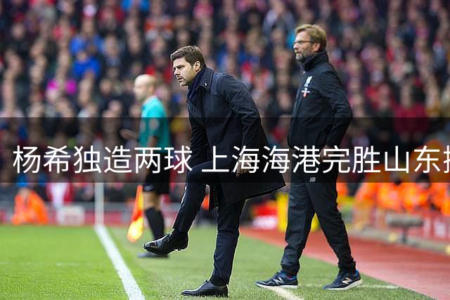 杨希独造两球 上海海港完胜山东挺进足协杯四强