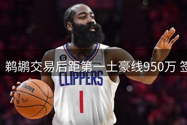 鹈鹕交易后距第一土豪线950万 签约马瑟林无压力